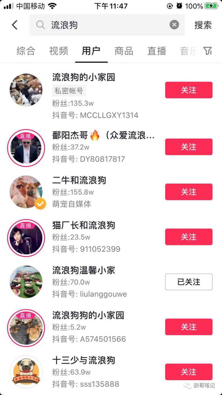利用同情心直播流浪狗涨粉搞钱