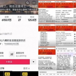 分享一个抖音文案号的项目