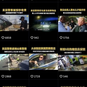 一个比较刺激的搬运搞钱项目