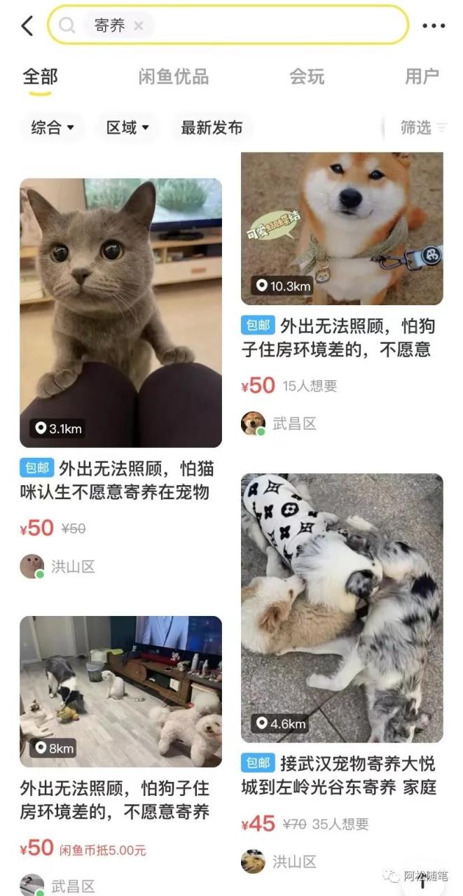 低成本宠物项目，单天利润三五百
