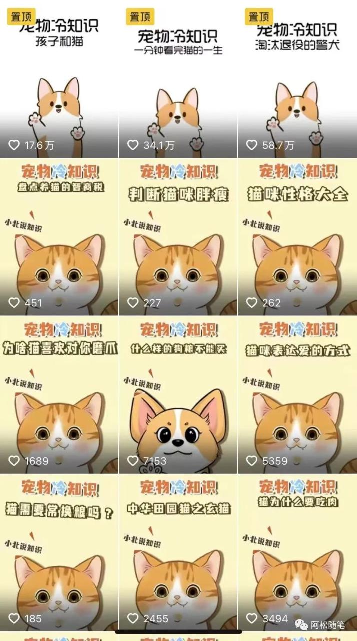 低成本宠物项目，单天利润三五百
