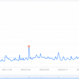 低成本宠物项目思路，单天300-500副业收入，适合所有人放大操作