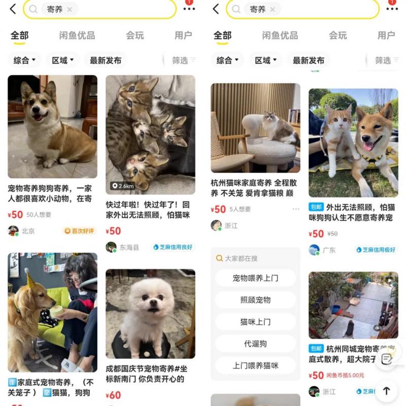 低成本宠物项目思路，单天300-500副业收入，适合所有人放大操作