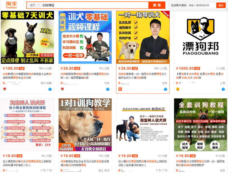 低成本宠物项目思路，单天300-500副业收入，适合所有人放大操作