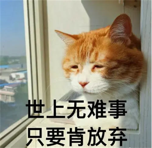 疫情下网创人如何应对“躺平”和“内卷”