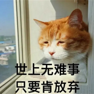 疫情下网创人如何应对“躺平”和“内卷”