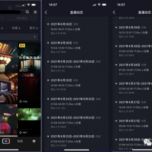 抖音电台直播项目，新人入门保姆级攻略