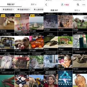 冷门短视频变现玩法思路：新手零门槛赚钱，冷知识无脑照搬变现项目