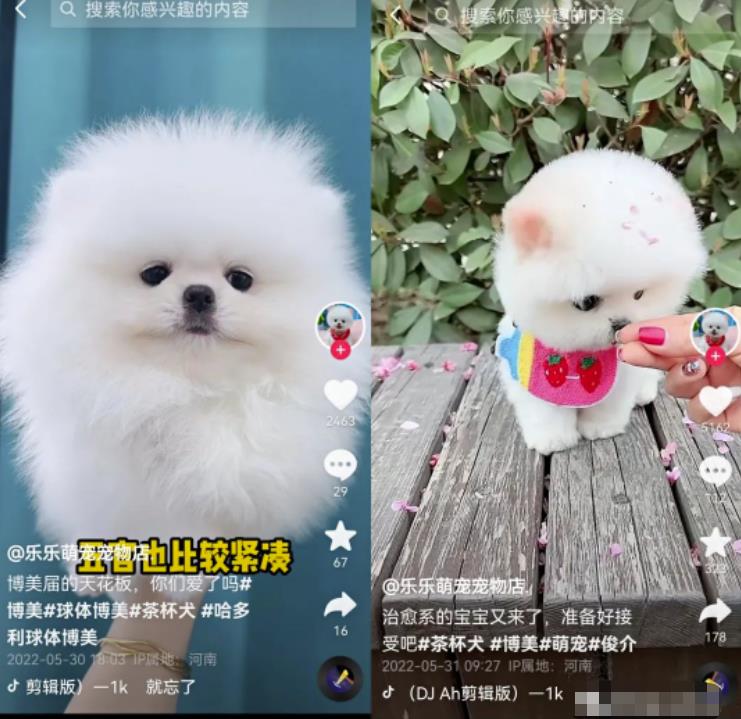 无脑短视频搬砖赚钱思路，轻松月入1W+，在家即可躺赚