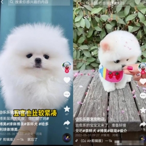 无脑短视频搬砖赚钱思路，轻松月入1W+，在家即可躺赚