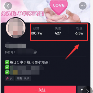 虚拟资源项目 一单利润88元，每天两三单轻松日入300+