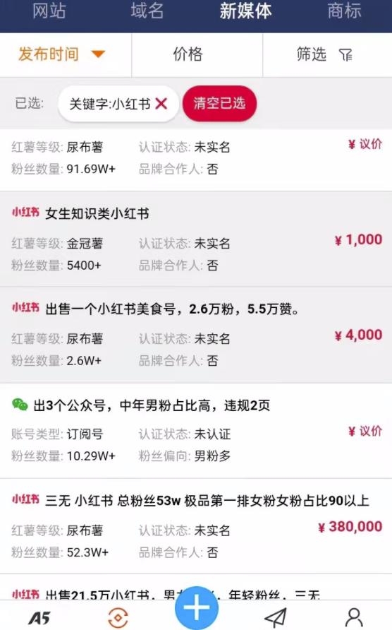 卖小红书公众号的快速变现小项目，一个号赚几千上万块