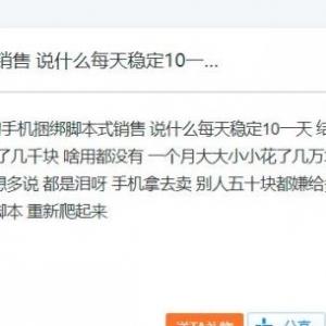 简单流量变现小项目，新手实操每月5000+