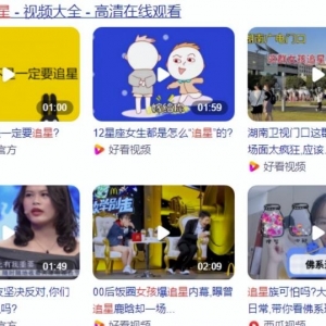 明星粉丝团项目暴利玩法，简单操作，有大佬一个月赚10个W