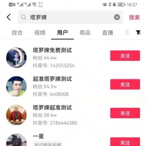 塔罗占卜造神项目暴利玩法详解：有人靠此项目一个月挣了10万+