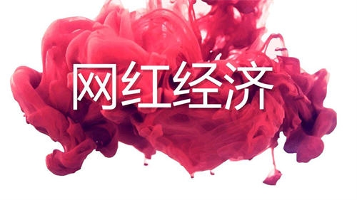 如何靠网红月入20W+