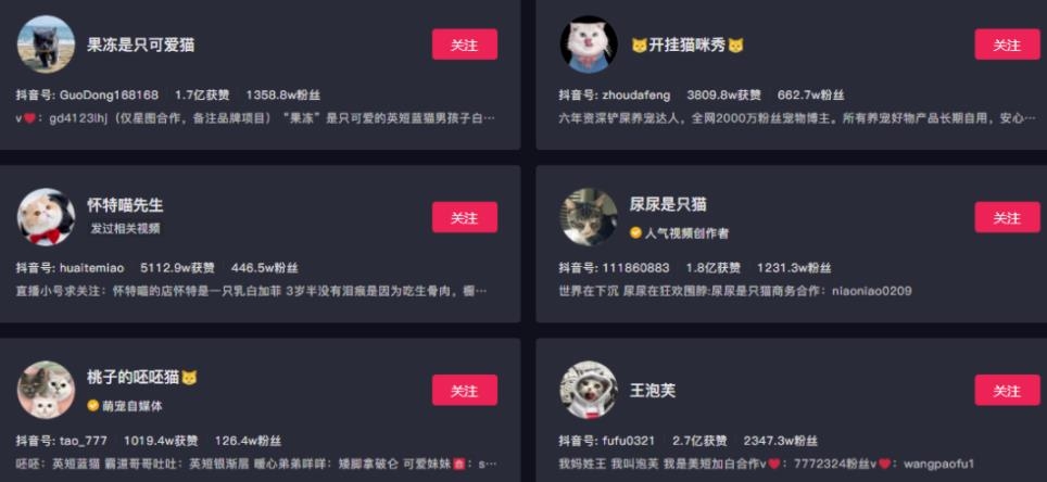 副业拍猫视频一公一母,日赚上万,人人可操作 副业拍猫视频一公一母,日赚上万,人人可操作