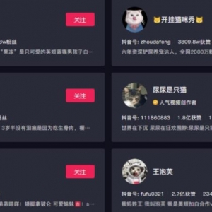 副业拍猫视频一公一母，日赚上万，人人可操作