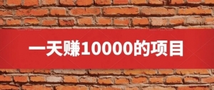 一天赚上万块的暴利群推项目，只需一台电脑+3个手机就能开搞