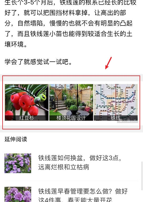 这样看广告，不仅能提升认知，还能赚钱