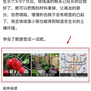 这样看广告，不仅能提升认知，还能赚钱