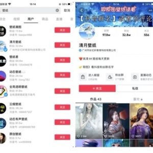 月入过万的壁纸号赚钱项目拆解，适合普通人操作的赚钱项目