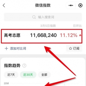 月入10万+分享一个互联网偏门项目，人人可操作