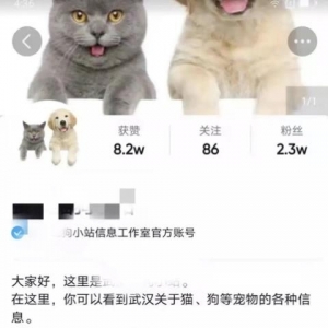 不用引流，一天赚1000+，很简单的闷声搞钱路子