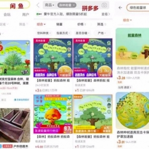 月入10万+！干的人很少，偏冷门暴利项目