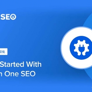 [汉化] All in One SEO PRO v4.6.2 搜索引擎SEO优化WordPress插件