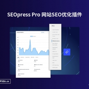 [汉化] SEOpress Pro 轻松优化WordPress网站SEO插件 v7.1.1