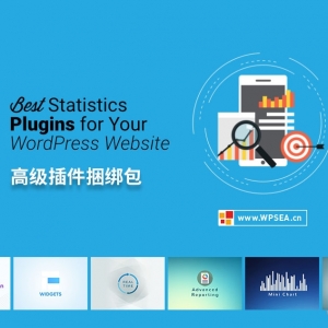 [汉化] WP Statistics 网站访问统计 v14.11.4+高级附加组件