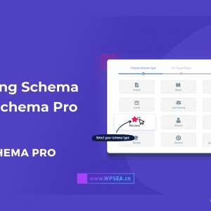 WP Schema Pro v2.7.9 SEO结构化数据标记WordPress插件