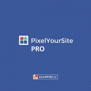 [汉化] PixelYourSite Pro v9.10.6.1 - Facebook pixel 网站用户行为追踪流量分析插件下载