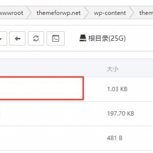 WordPress添加复制弹窗提示版权