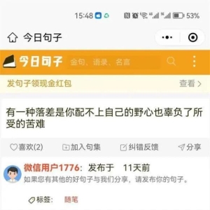 微信今日句子搞钱小项目，一条句子收入260